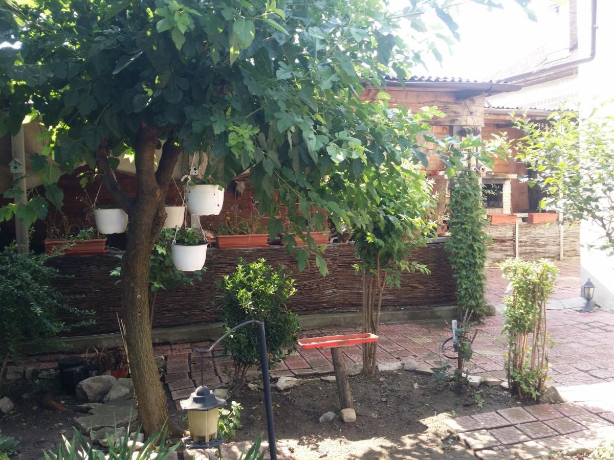 מלון טולצ'אה Casa Trandafirilor מראה חיצוני תמונה
