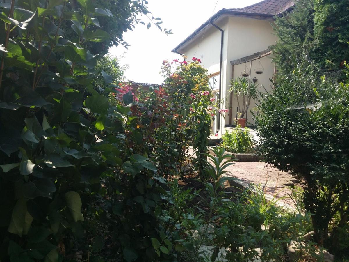 מלון טולצ'אה Casa Trandafirilor מראה חיצוני תמונה