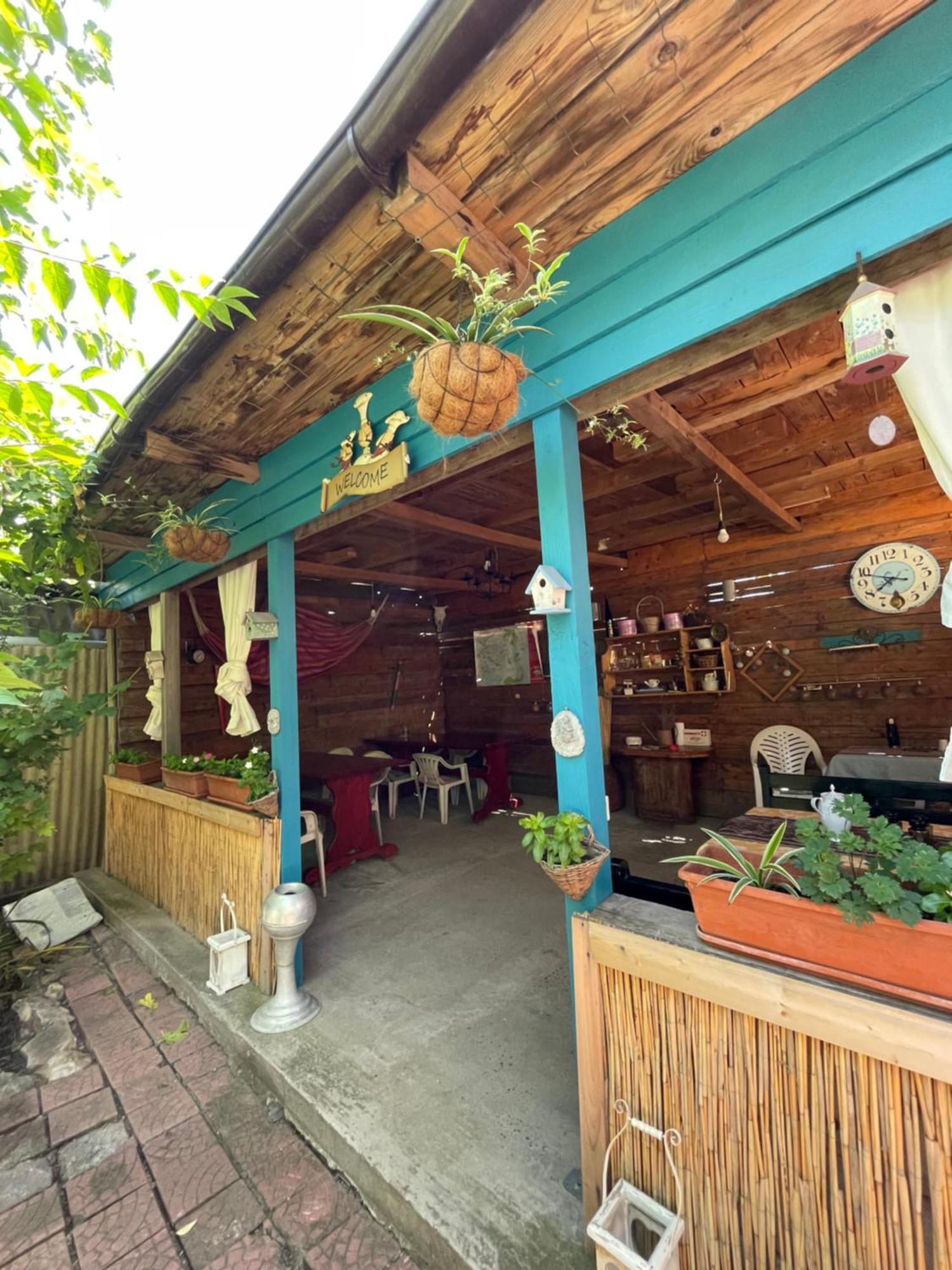 מלון טולצ'אה Casa Trandafirilor מראה חיצוני תמונה