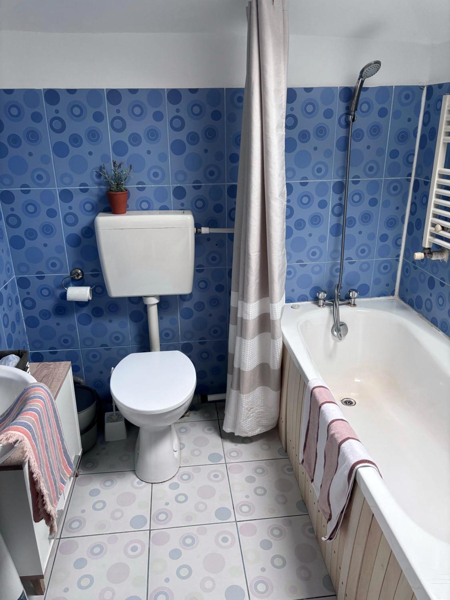 מלון טולצ'אה Casa Trandafirilor מראה חיצוני תמונה